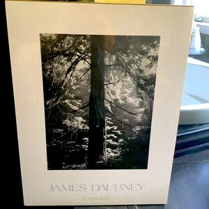 James Daubney photo. Shot in Banff. Black and white. Shrink wrapped